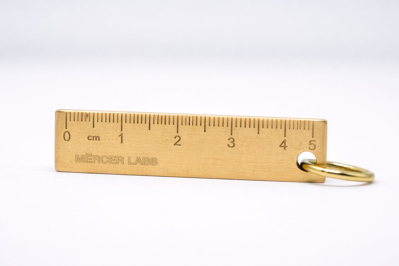 "Are We In the Future" Brass Key Ring